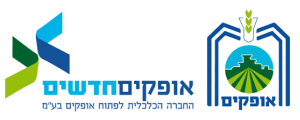 החברה הכלכלית לפיתוח אופקים